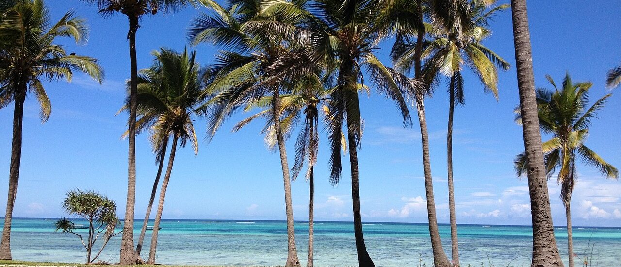 5 Days Zanzibar Tour, Your Ultimate Zanzibar Holiday