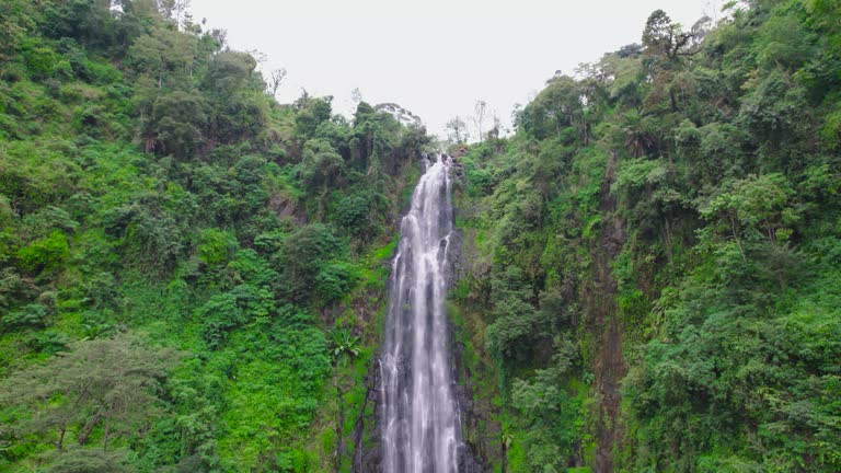 Materuni Waterfalls & Coffee Tour